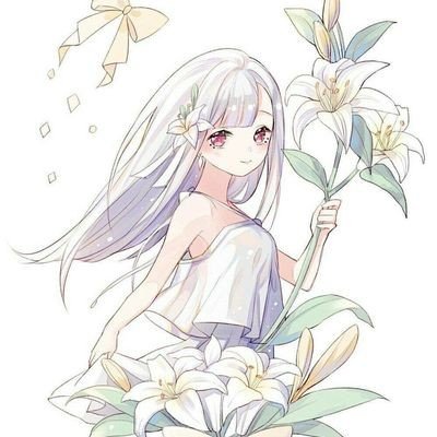 Gemini能登顶老君山吗
